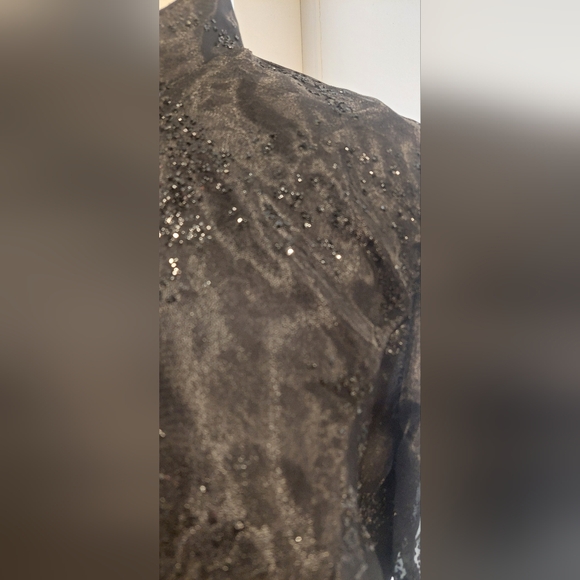 R&M Richards Elegant Black Blouse with Sheer Sleeves - Picture 2 of 12